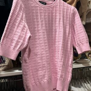 Ann Taylor Pink Crew Neck Sweater with Textured Knit